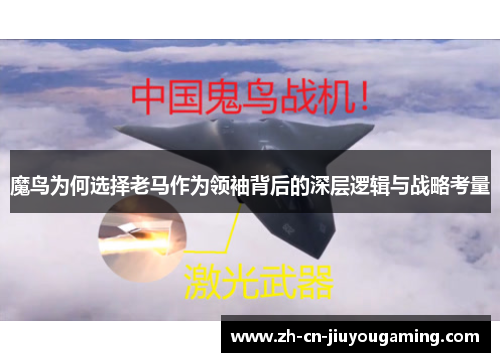 魔鸟为何选择老马作为领袖背后的深层逻辑与战略考量